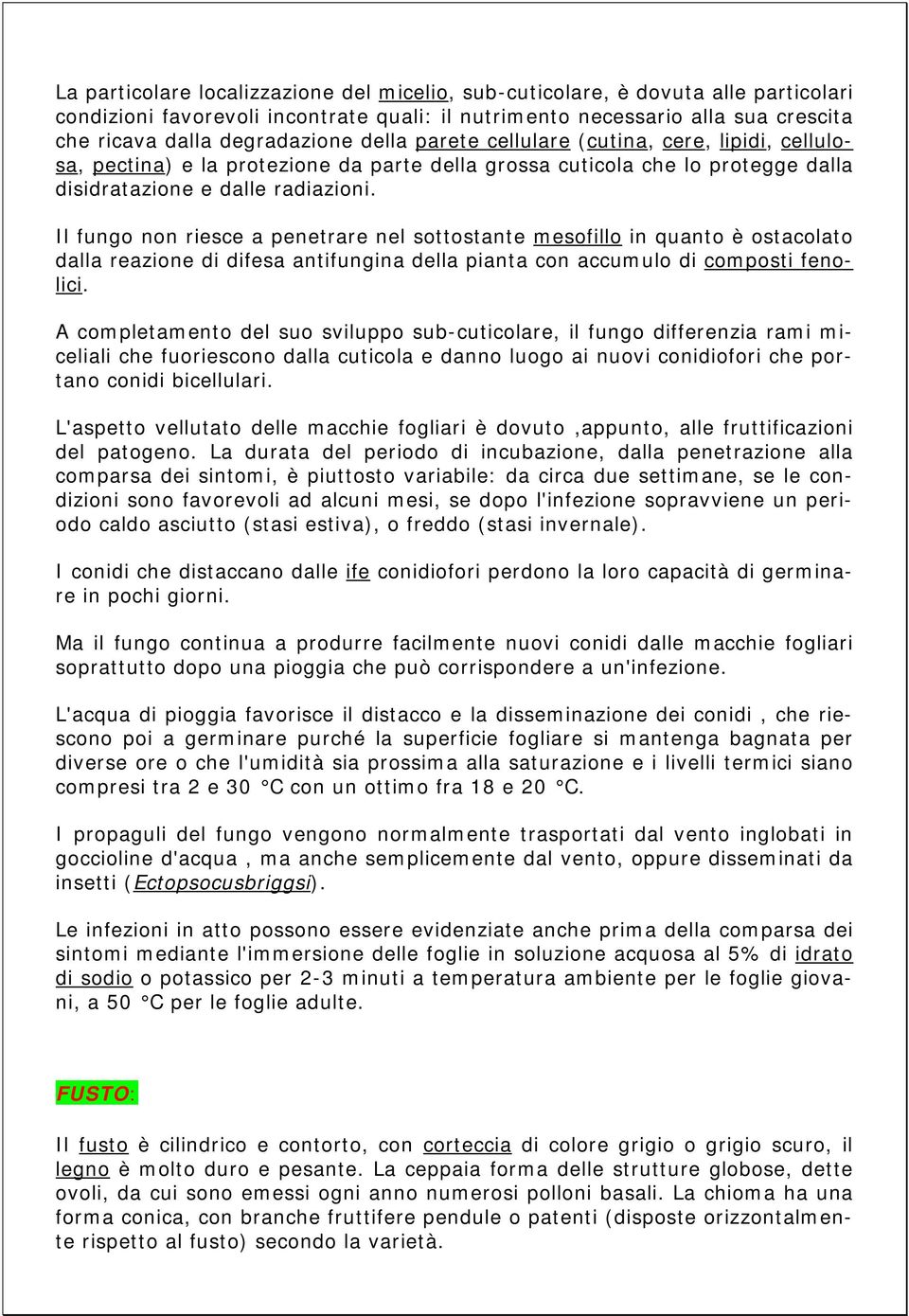 Il fungo non riesce a penetrare nel sottostante mesofillo in quanto è ostacolato dalla reazione di difesa antifungina della pianta con accumulo di composti fenolici.