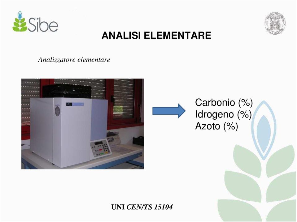 Carbonio (%) Idrogeno