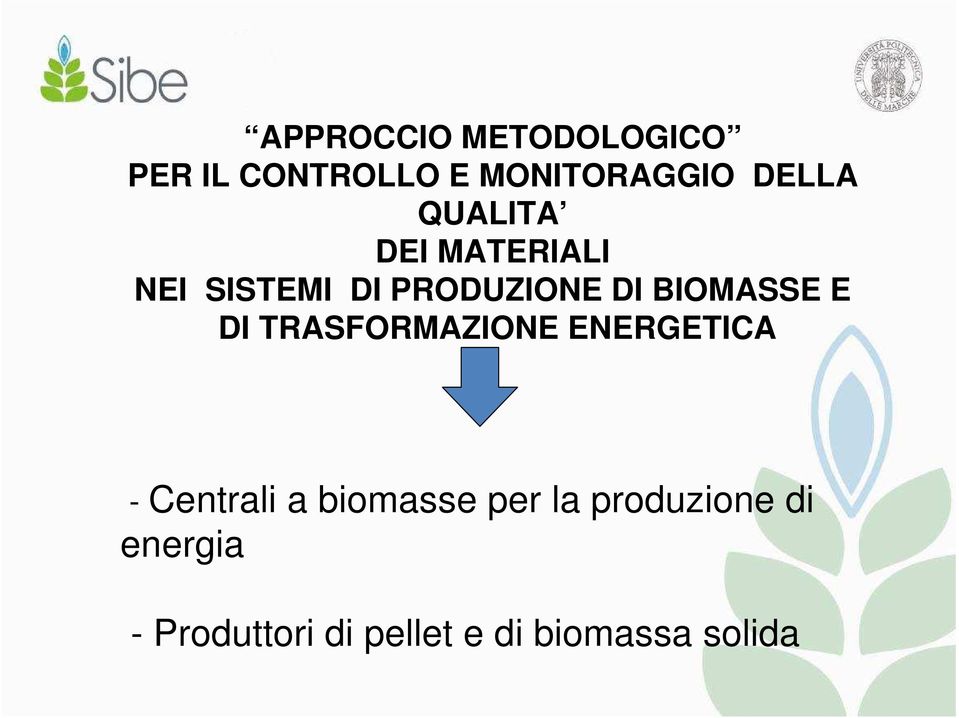 DI TRASFORMAZIONE ENERGETICA - Centrali a biomasse per la