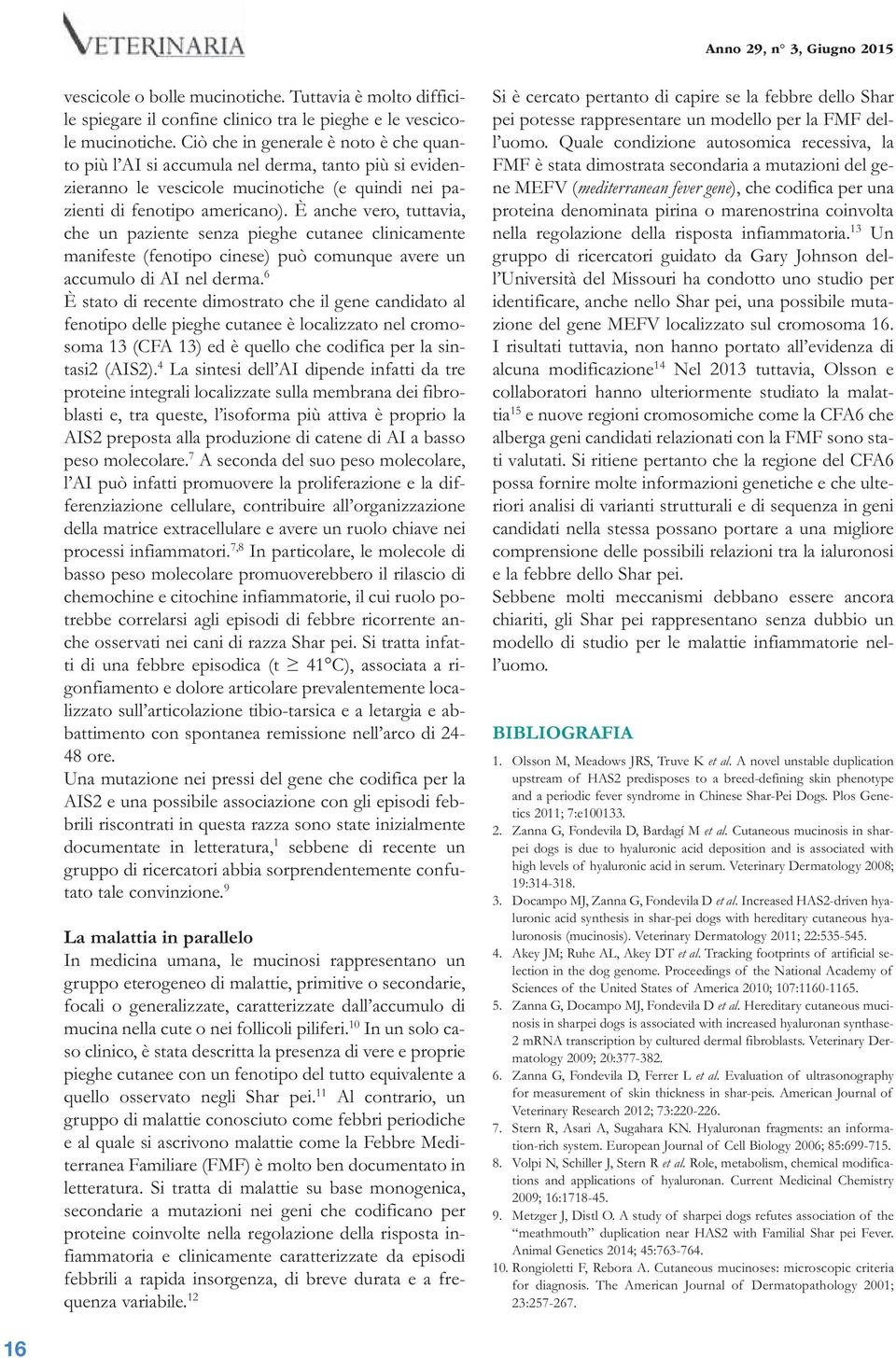 È anche vero, tuttavia, che un paziente senza pieghe cutanee clinicamente manifeste (fenotipo cinese) può comunque avere un accumulo di AI nel derma.