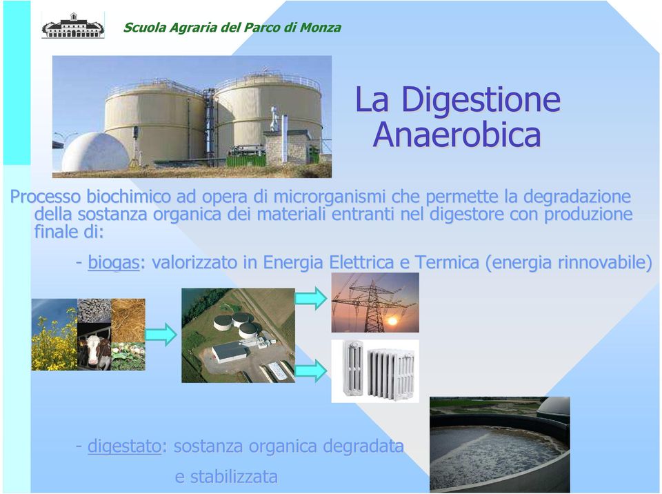 digestore con produzione finale di: - biogas: valorizzato in Energia Elettrica