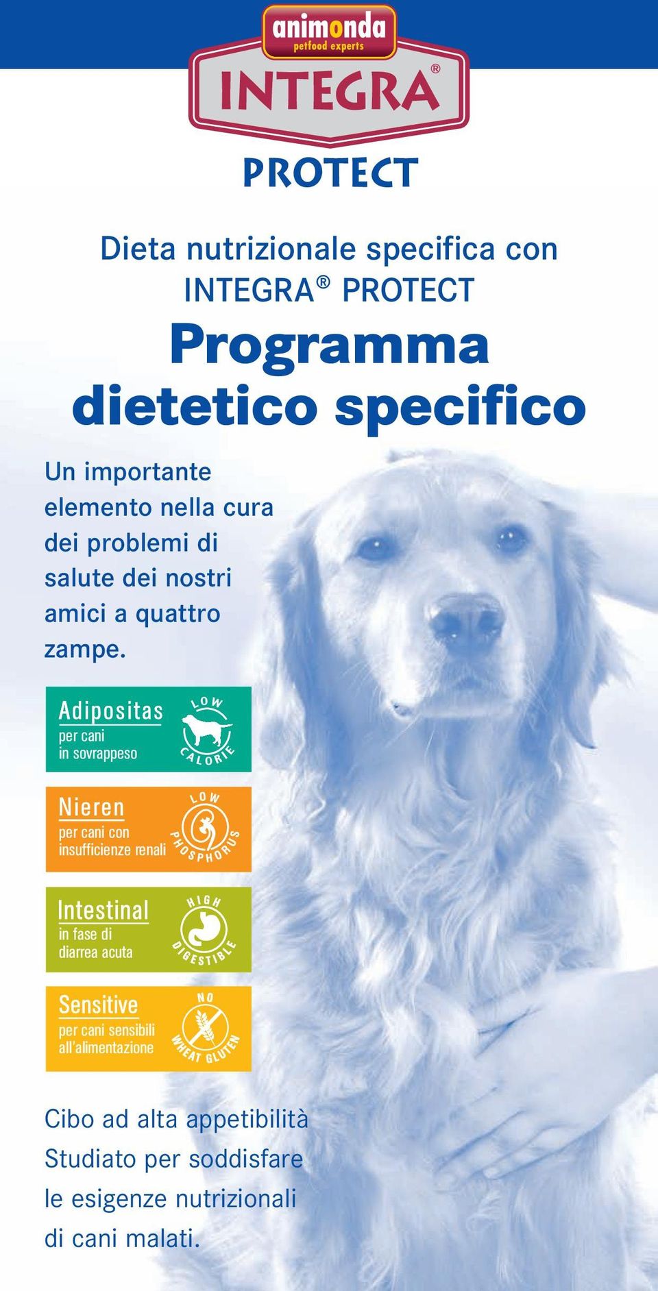 per cani in sovrappeso per cani con insufficienze renali in fase di diarrea acuta per cani