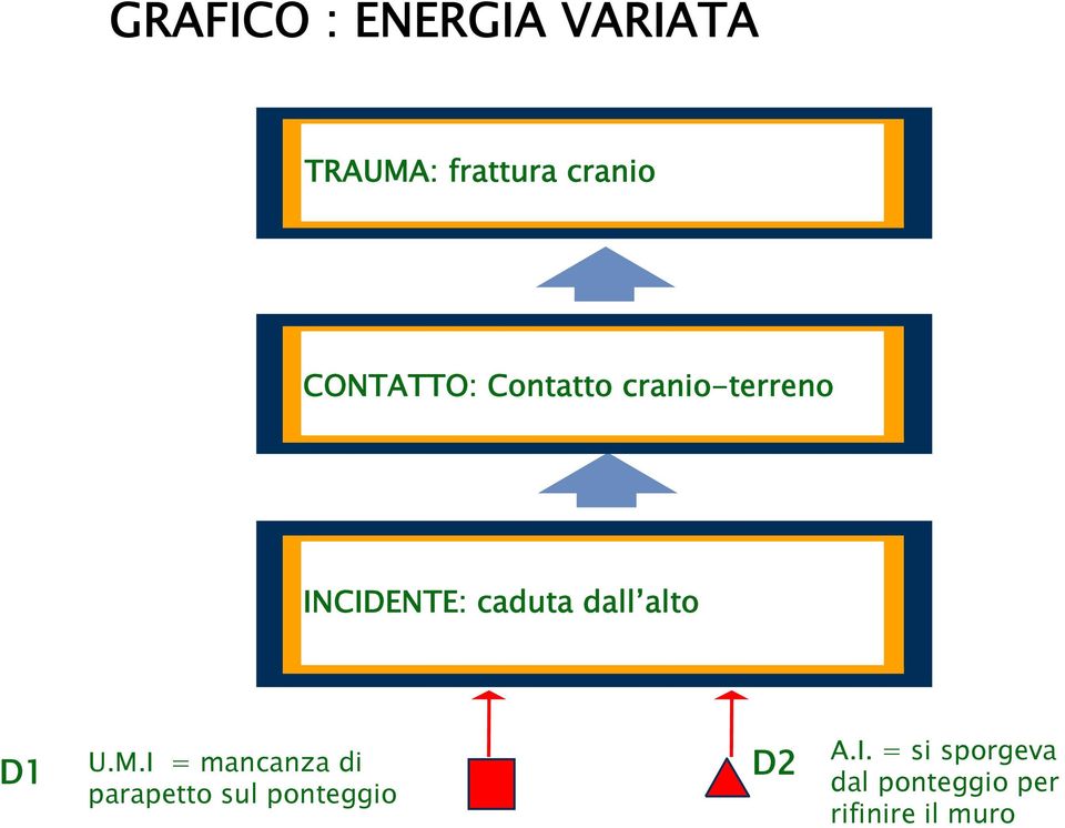 dall alto D1 U.M.