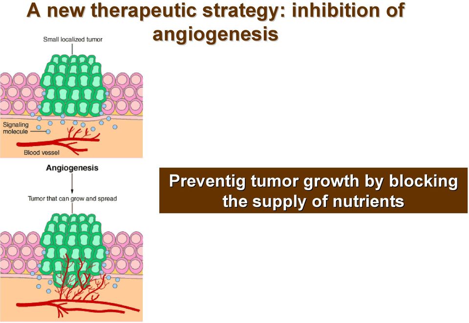 Preventig tumor growth by