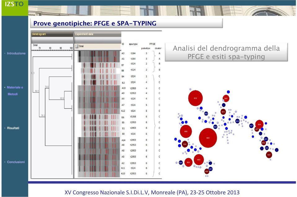 esiti spa-typing Materiale e Metodi Risultati