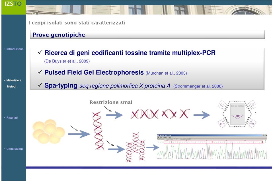 , 2009) Pulsed Field Gel Electrophoresis (Murchan et al.