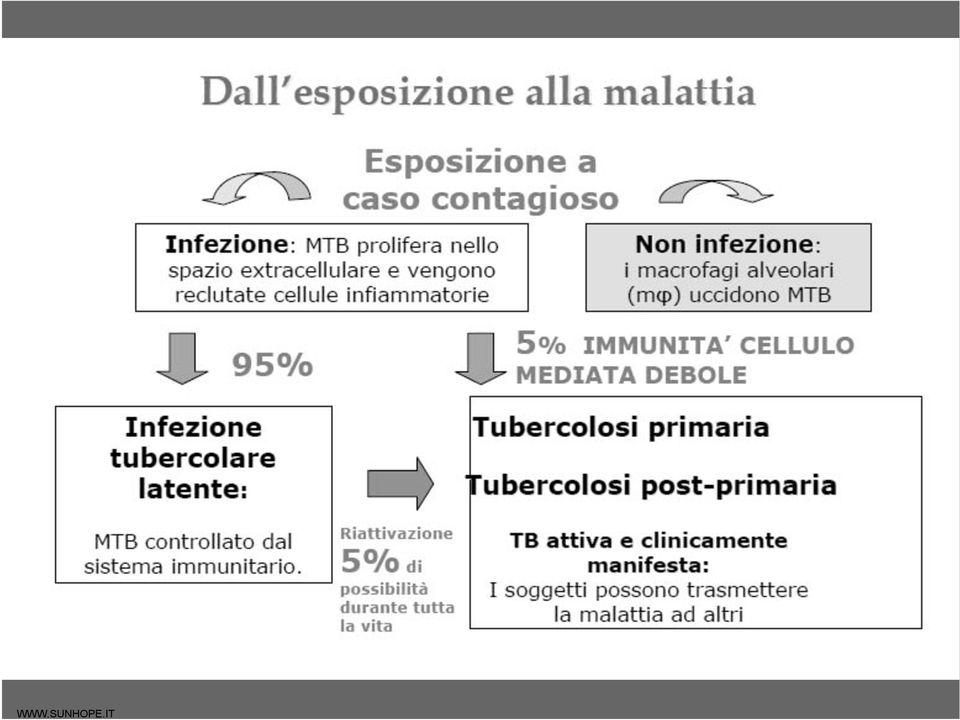 più determinante è rappresentato dallo stato