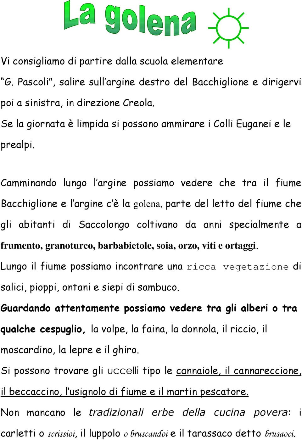 Camminando lungo l argine possiamo vedere che tra il fiume Bacchiglione e l argine c è la golena, parte del letto del fiume che gli abitanti di Saccolongo coltivano da anni specialmente a frumento,