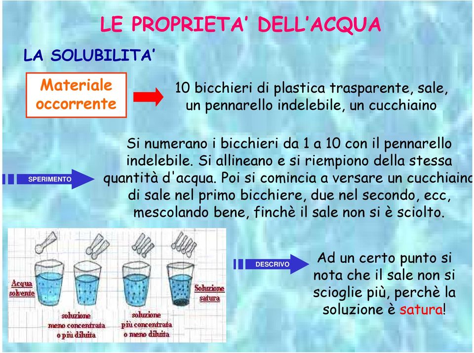 Si allineano e si riempiono della stessa quantità d'acqua.