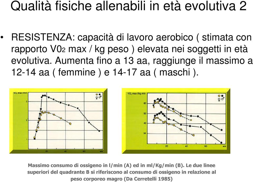 Aumenta fino a 13 aa, raggiunge il massimo a 12-14 aa ( femmine ) e 14-17 aa ( maschi ).