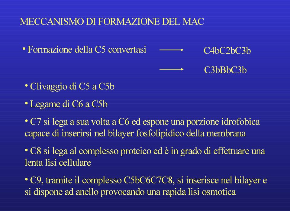 fosfolipidico della membrana C8 si lega al complesso proteico ed è in grado di effettuare una lenta lisi