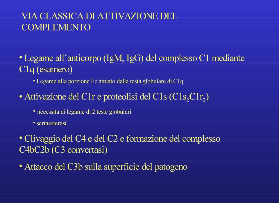 proteolisi del C1s (C1s 2 C1r 2 ) necessità di legame di 2 teste globulari serinesterasi Clivaggio del