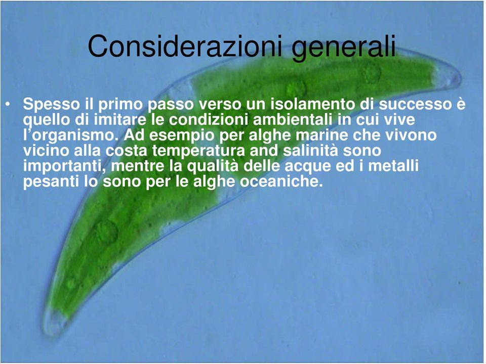 Ad esempio per alghe marine che vivono vicino alla costa temperatura and salinità