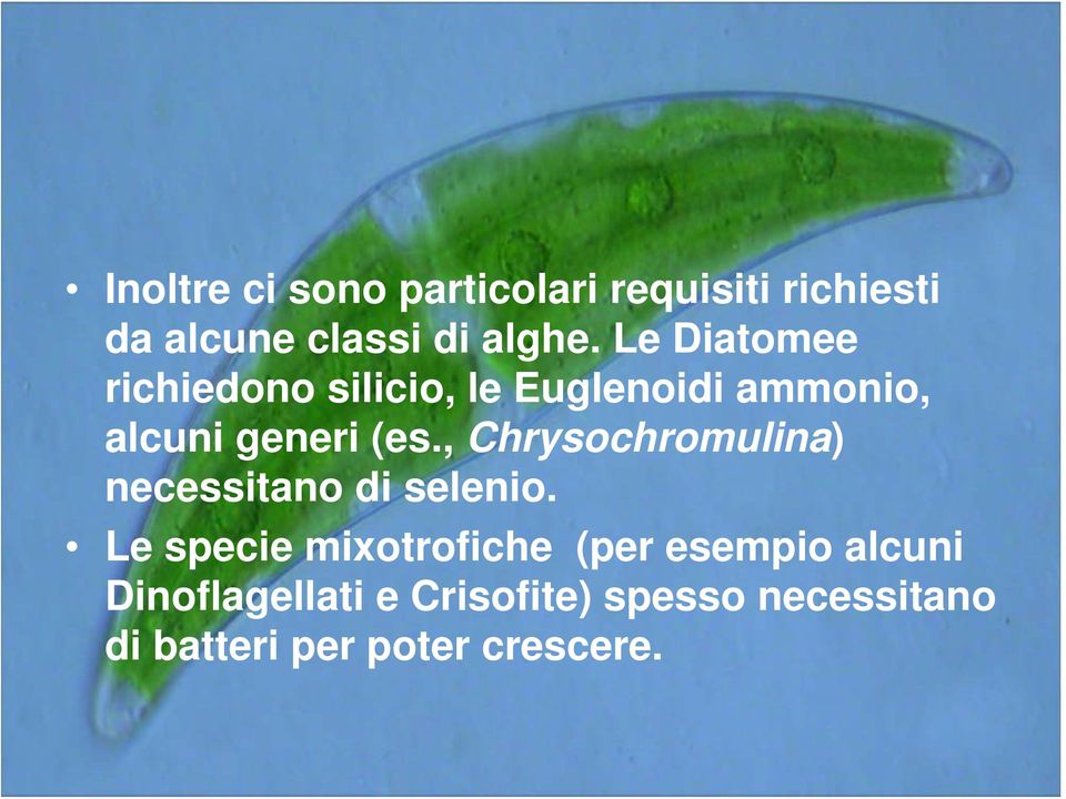 , Chrysochromulina) necessitano di selenio.