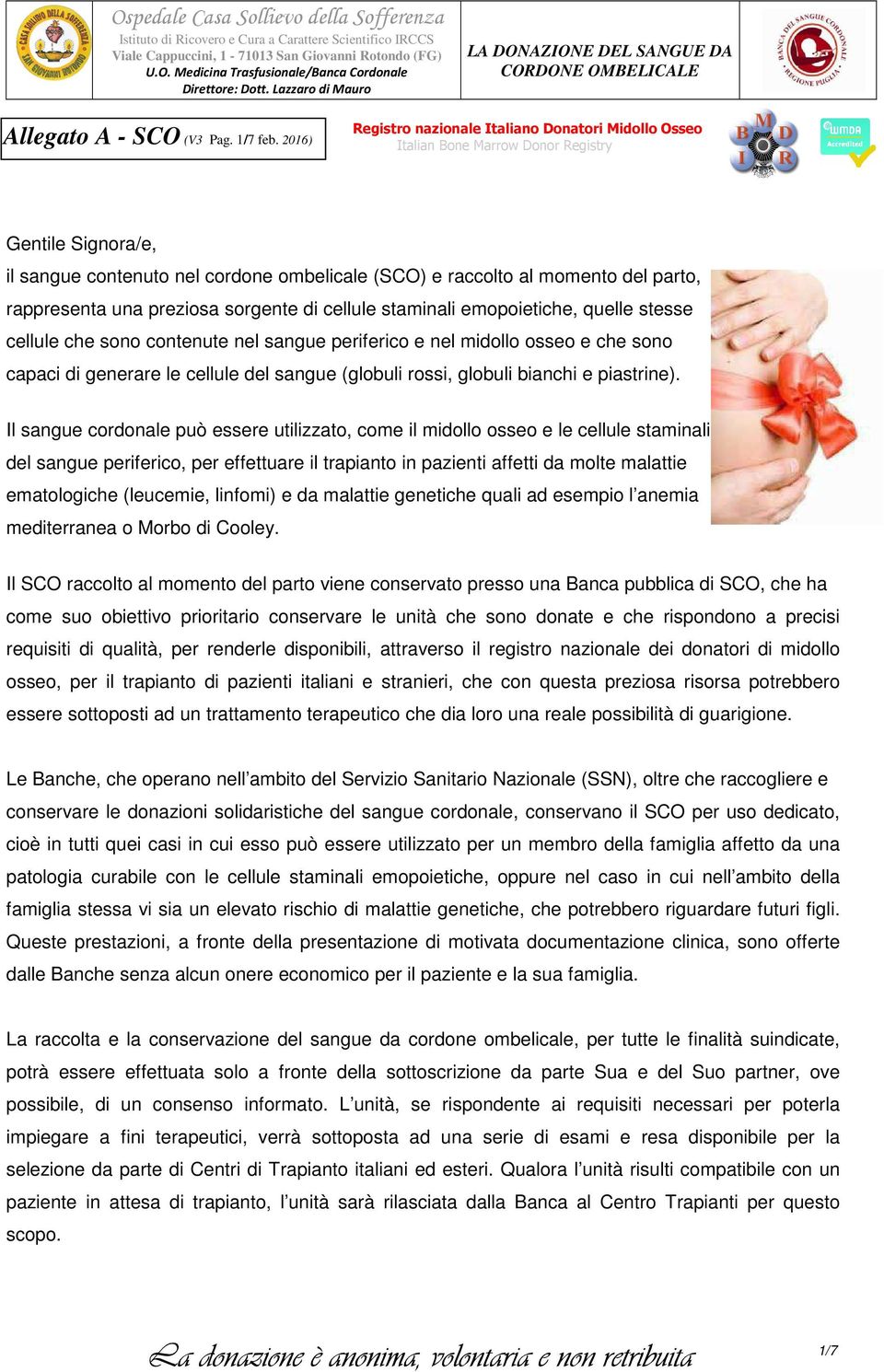 che sono contenute nel sangue periferico e nel midollo osseo e che sono capaci di generare le cellule del sangue (globuli rossi, globuli bianchi e piastrine).