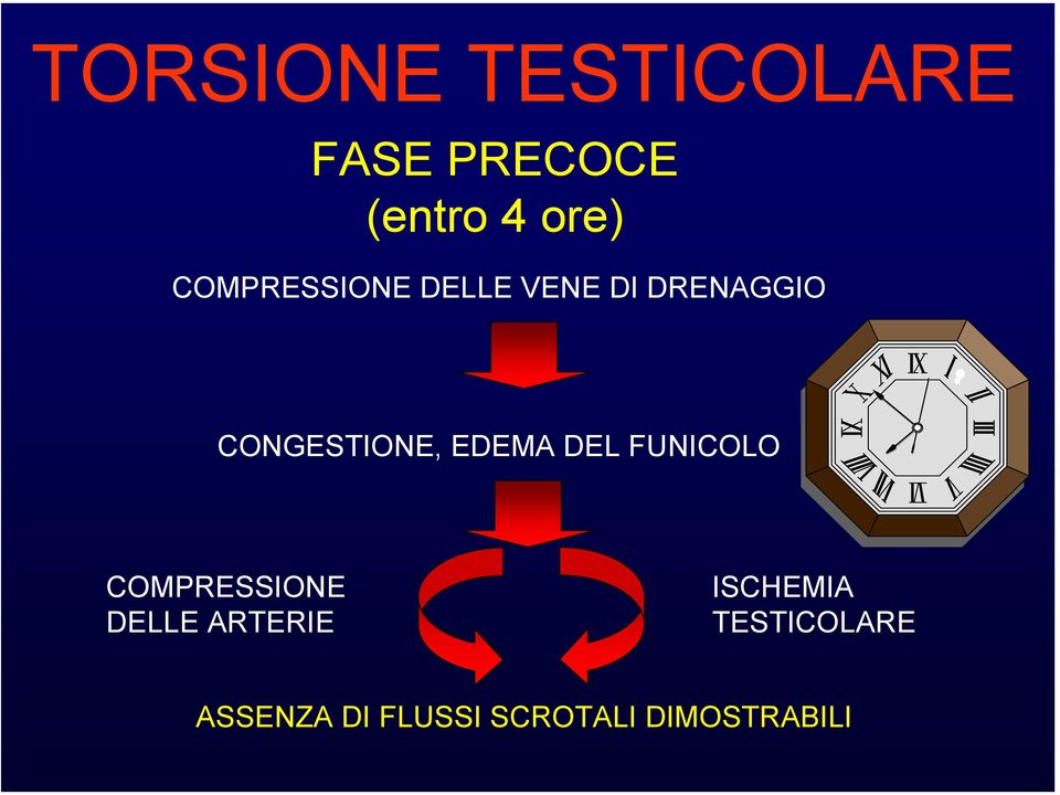 EDEMA DEL FUNICOLO COMPRESSIONE DELLE ARTERIE