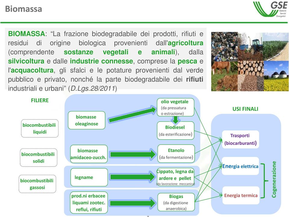 28/2011) FILIERE biocombustibili liquidi biocombustibili solidi biocombustibili gassosi biomasse oleaginose biomasse amidaceo zucch. legname prod.ni erbacee liquami zootec.
