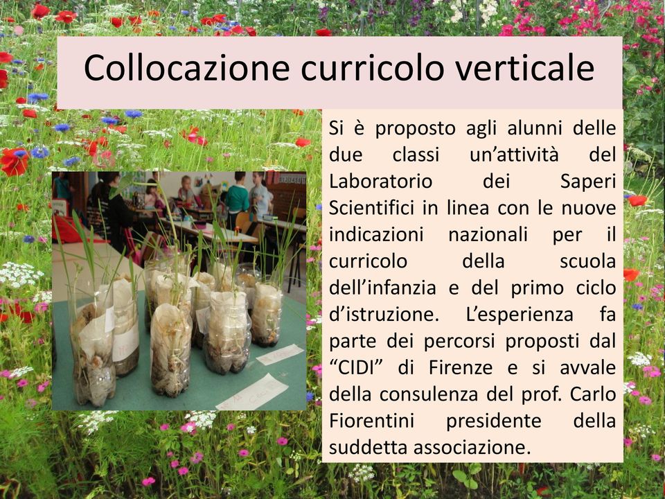 scuola dell infanzia e del primo ciclo d istruzione.