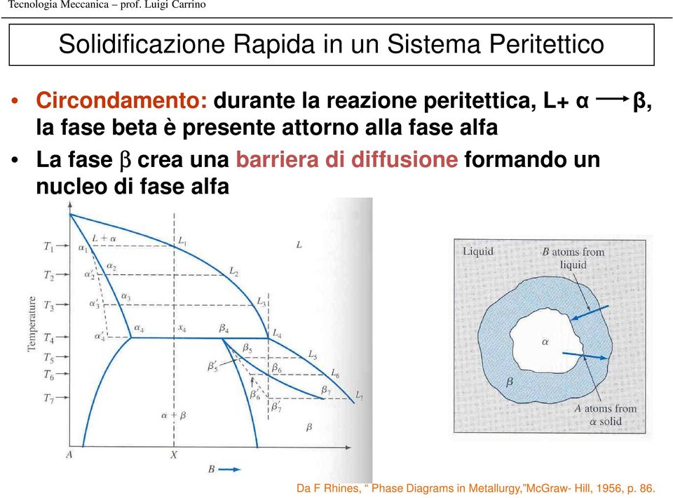 fase alfa La fase β crea una barriera di diffusione formando un nucleo di