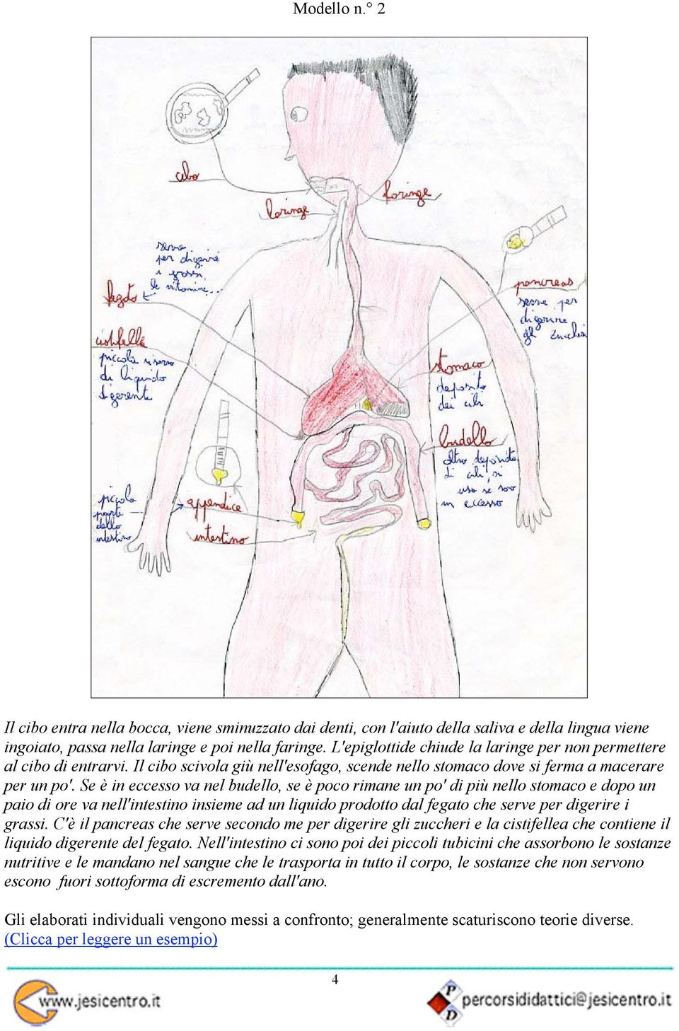 Se è in eccesso va nel budello, se è poco rimane un po' di più nello stomaco e dopo un paio di ore va nell'intestino insieme ad un liquido prodotto dal fegato che serve per digerire i grassi.