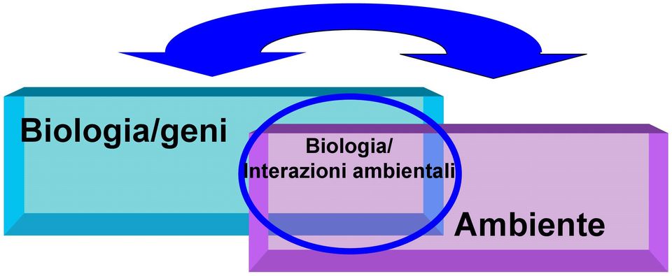 Interazioni