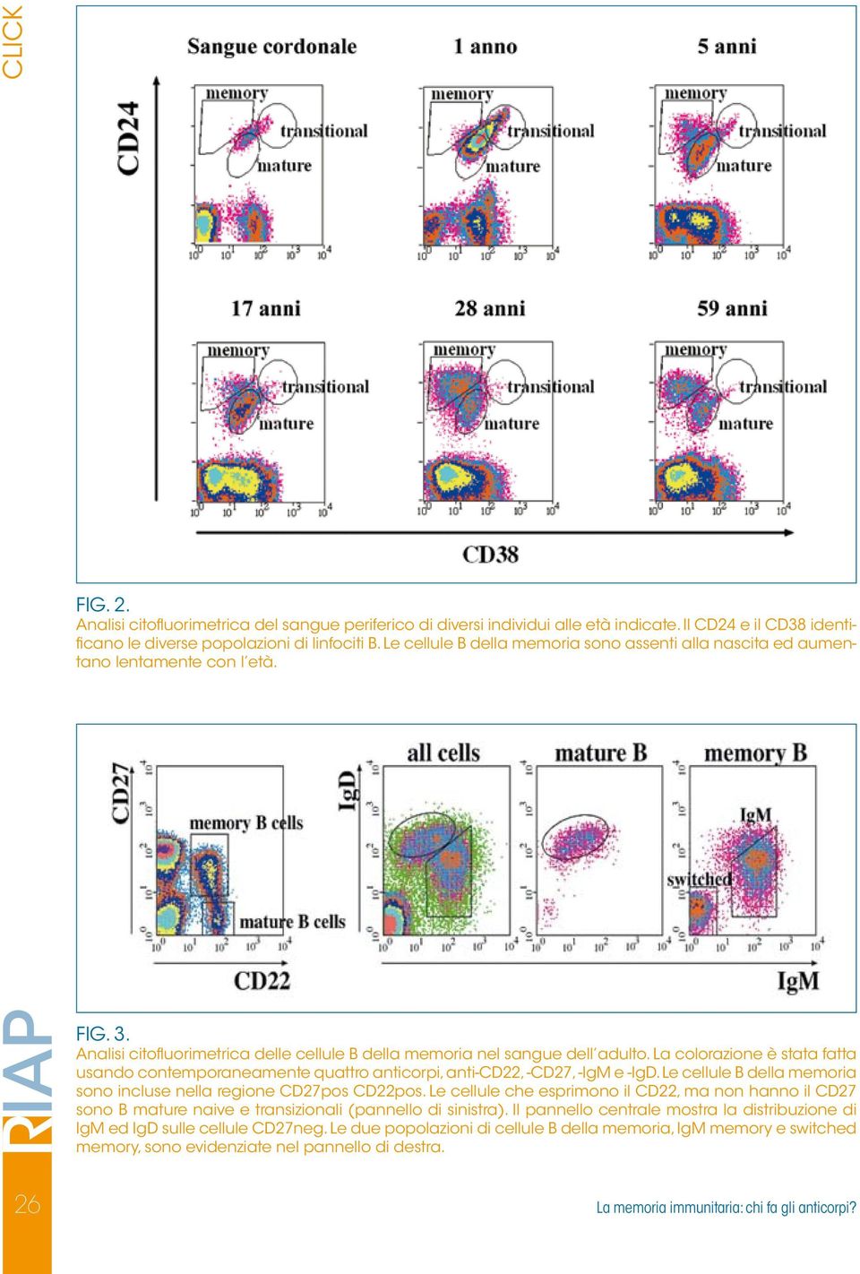 La colorazione è stata fatta usando contemporaneamente quattro anticorpi, anti-cd22, -CD27, -IgM e -IgD. Le cellule B della memoria sono incluse nella regione CD27pos CD22pos.