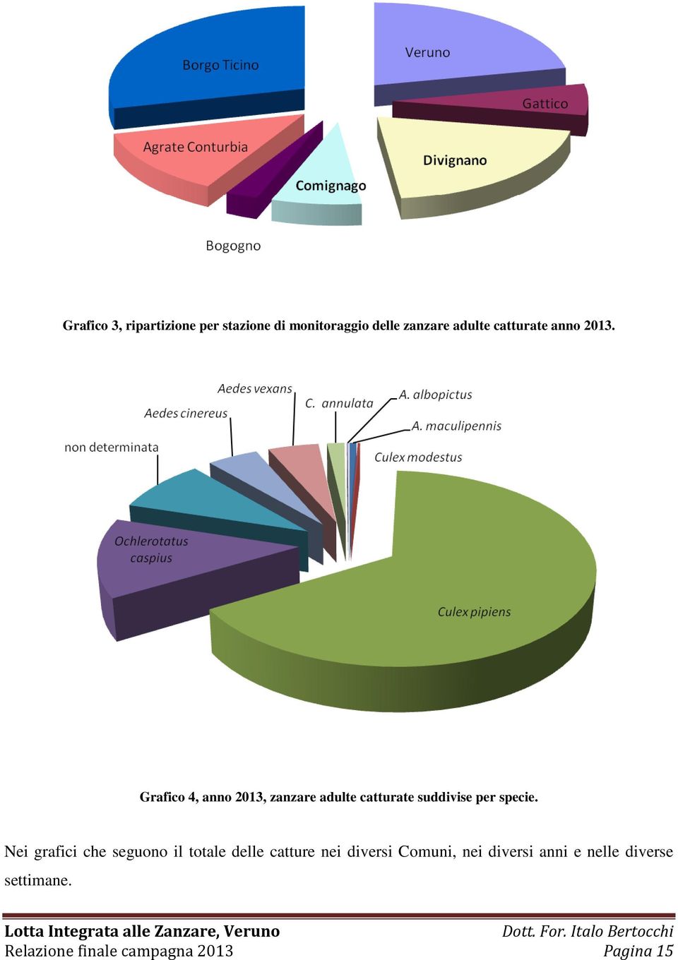 Grafico 4, anno 2013, zanzare adulte catturate suddivise per specie.