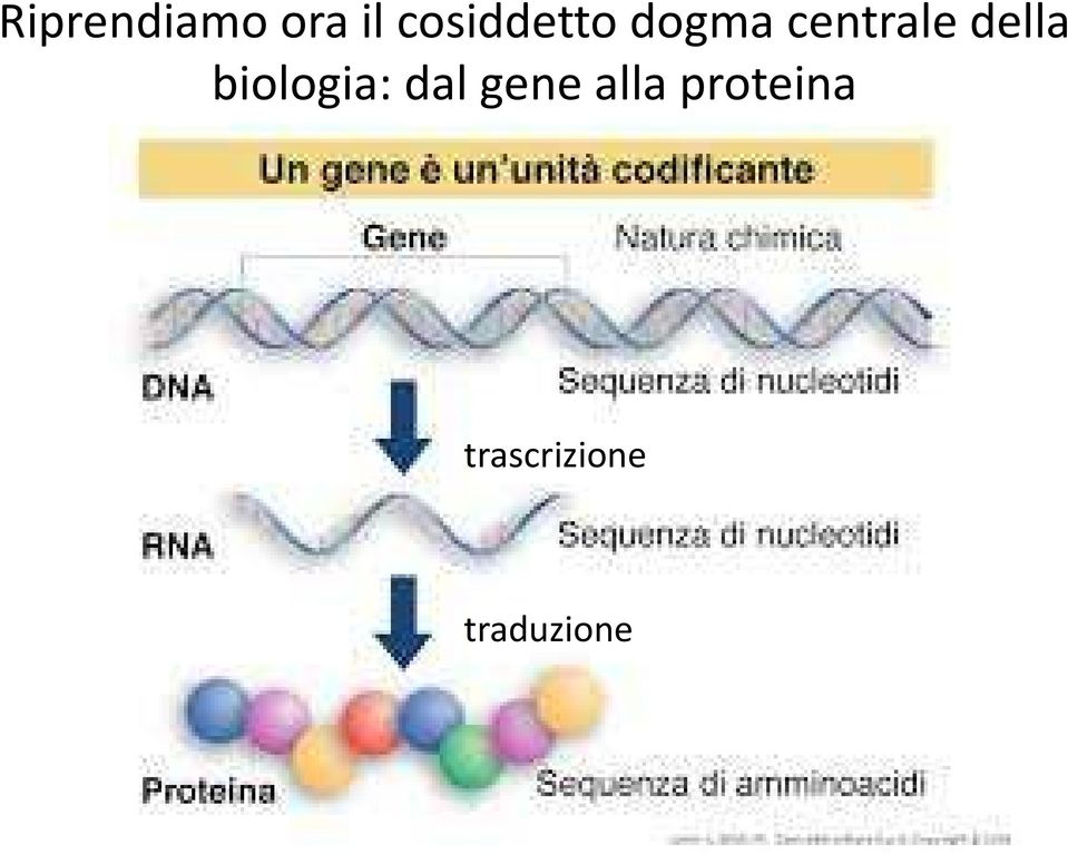 della biologia: dal gene