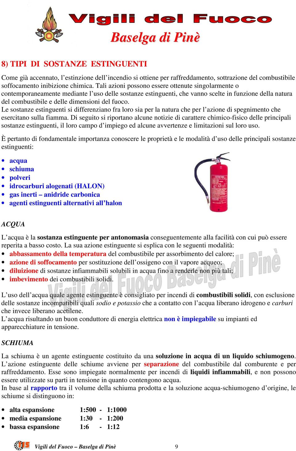 fuoco. Le sostanze estinguenti si differenziano fra loro sia per la natura che per l azione di spegnimento che esercitano sulla fiamma.