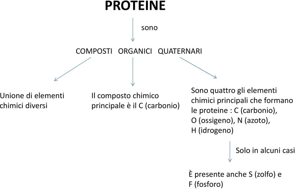 chimici principali che formano le proteine : C (carbonio), O (ossigeno), N