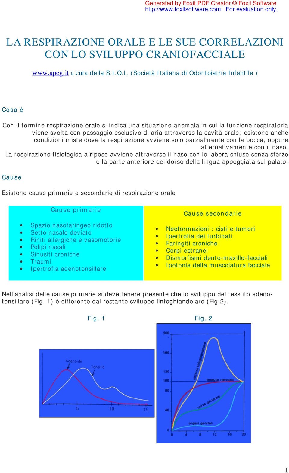 funzion rspirtori vin svolt con pssggio sclusivo di ri ttrvrso l cvità orl; sistono nch condizioni mist dov l rspirzion vvin solo przilmnt con l bocc, oppur ltrntivmnt con il nso.