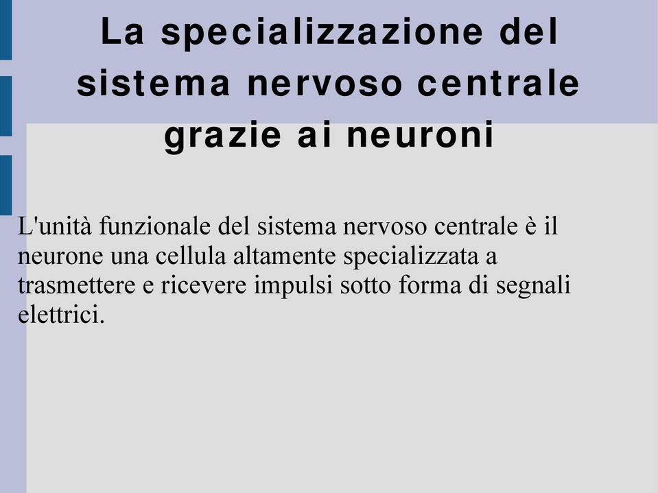 centrale è il neurone una cellula altamente specializzata