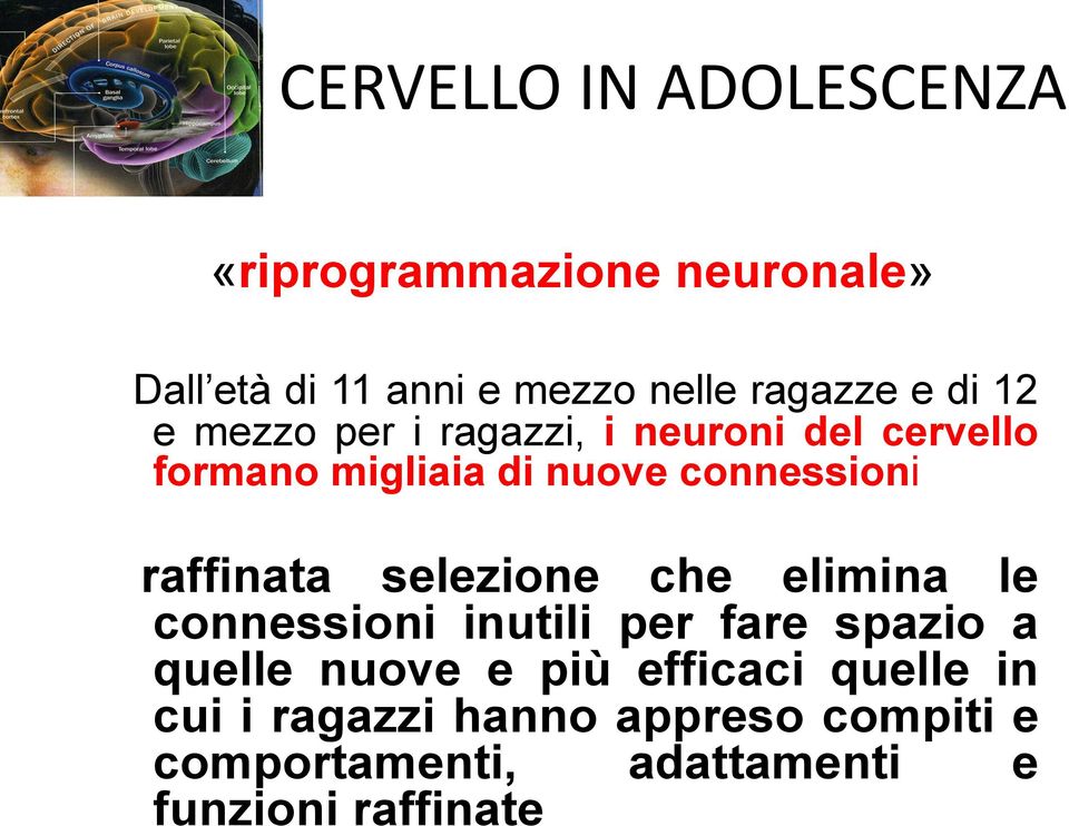 connessioni raffinata selezione che elimina le connessioni inutili per fare spazio a quelle