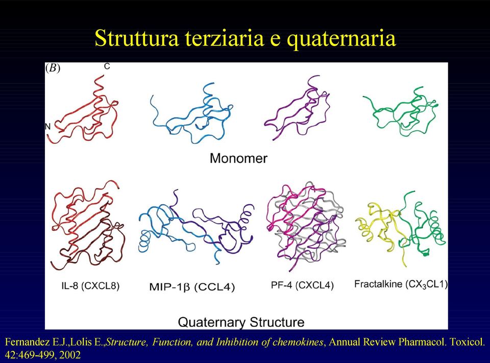 ,Structure, Function, and Inhibition of