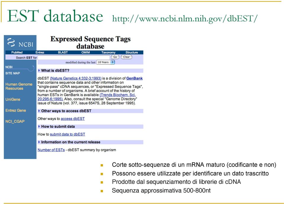 e non) Possono essere utilizzate per identificare un dato