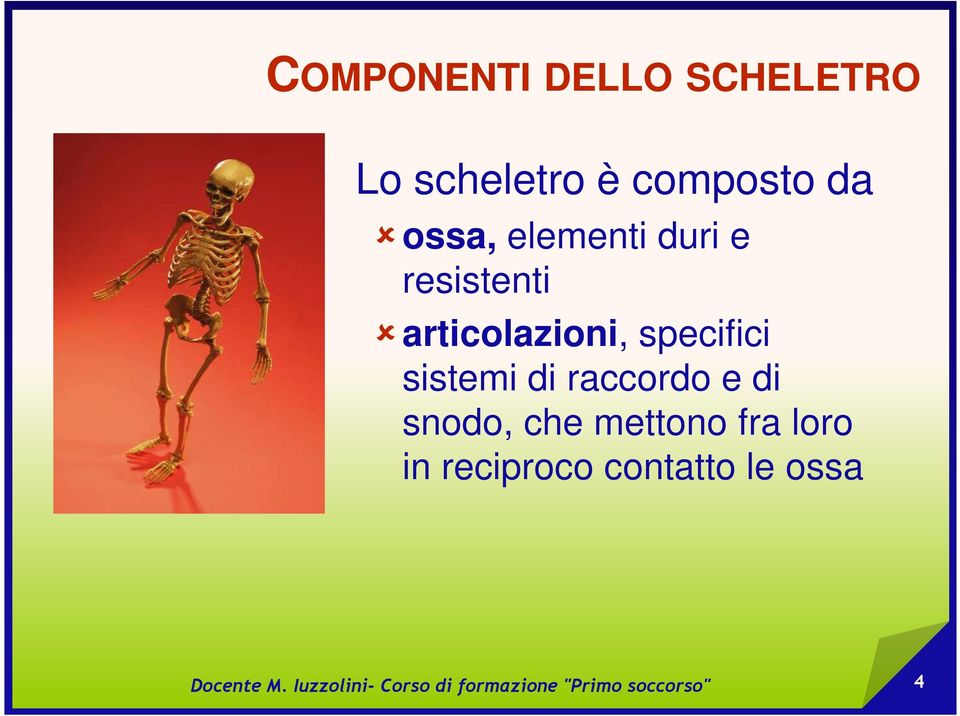 articolazioni, specifici sistemi di raccordo e