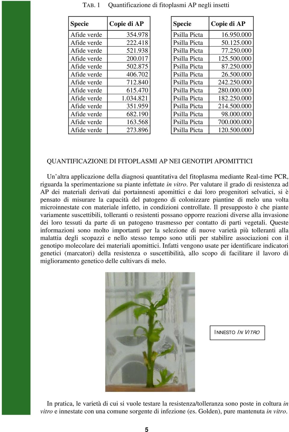 250.000 Afide verde 615.470 Psilla Picta 280.000.000 Afide verde 1.034.821 Psilla Picta 182.250.000 Afide verde 351.959 Psilla Picta 214.500.000 Afide verde 682.190 Psilla Picta 98.000.000 Afide verde 163.