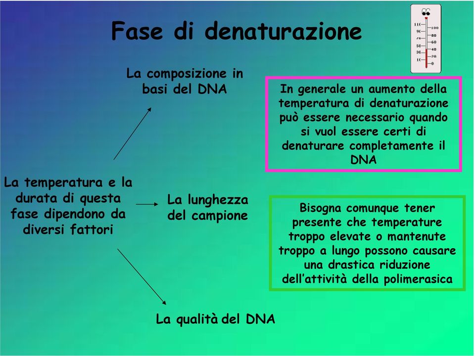 quando si vuol essere certi di denaturare completamente il DNA Bisogna comunque tener presente che temperature troppo