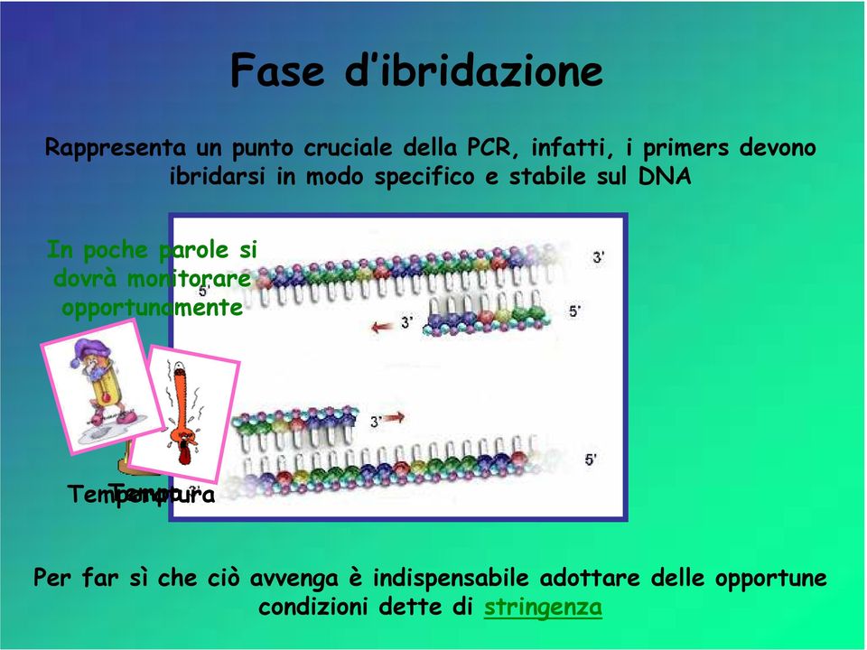 parole si dovrà monitorare opportunamente Tempo Temperatura Per far sì che