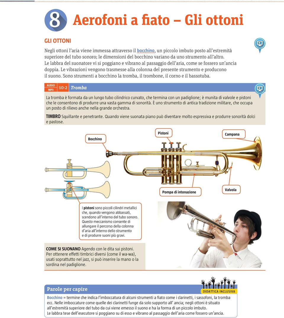 Le vibrazioni vengono trasmesse alla colonna del presente strumento e producono il suono. Sono strumenti a bocchino la tromba, il trombone, il corno e il bassotuba.