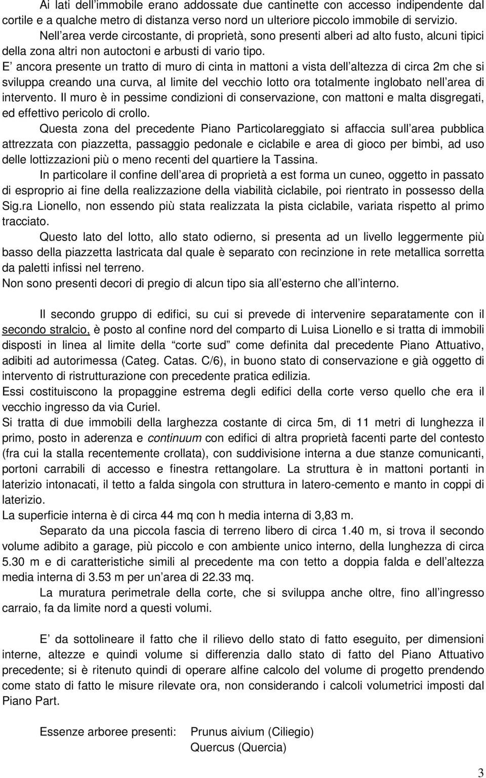 E ancora presente un tratto di muro di cinta in mattoni a vista dell altezza di circa 2m che si sviluppa creando una curva, al limite del vecchio lotto ora totalmente inglobato nell area di