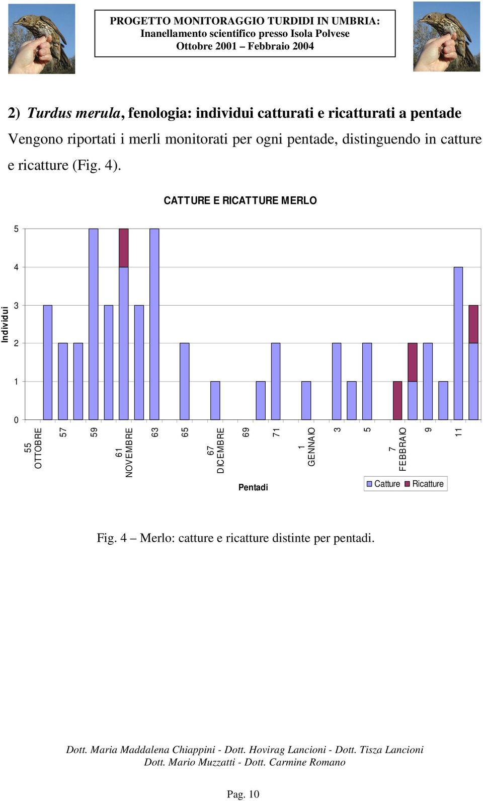 CATTURE E RICATTURE MERLO 4 2 0 OTTOBRE 9 Individui 6 NOVEMBRE 6 6 6 DICEMBRE 69 GENNAIO