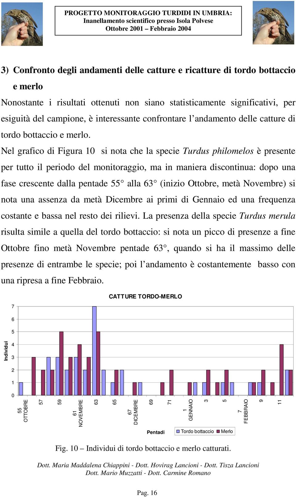 Nel grafico di Figura 0 si nota che la specie Turdus philomelos è presente per tutto il periodo del monitoraggio, ma in maniera discontinua: dopo una fase crescente dalla pentade alla 6 (inizio