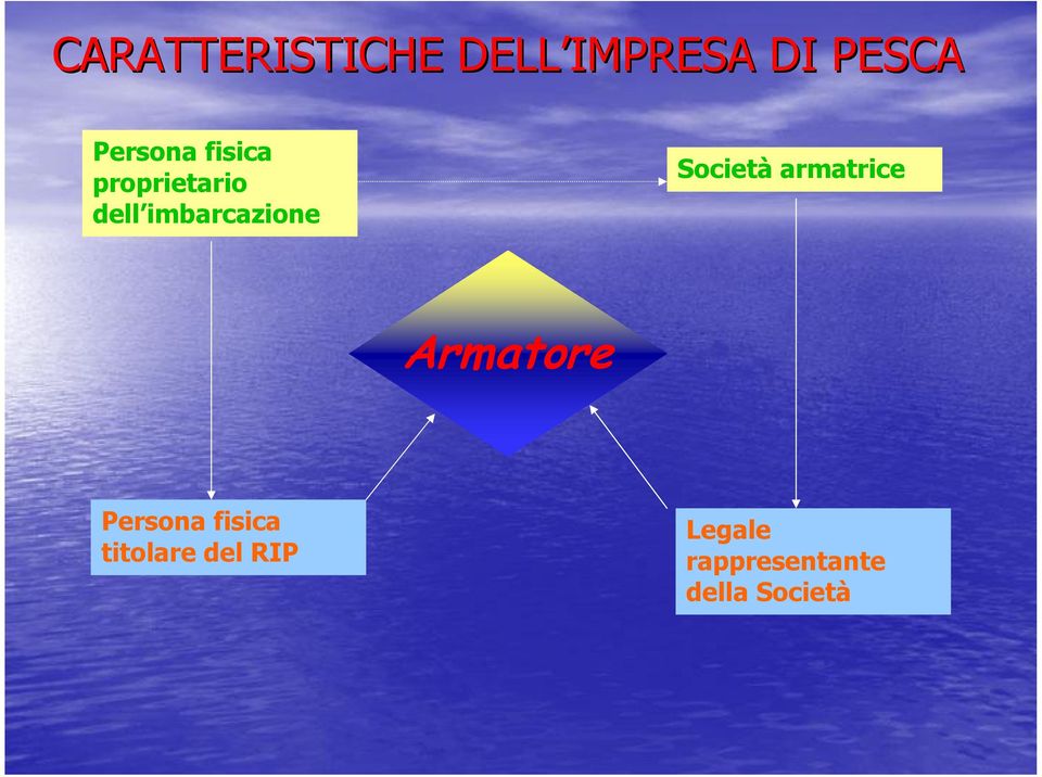 armatrice ARMATORE Armatore Persona fisica