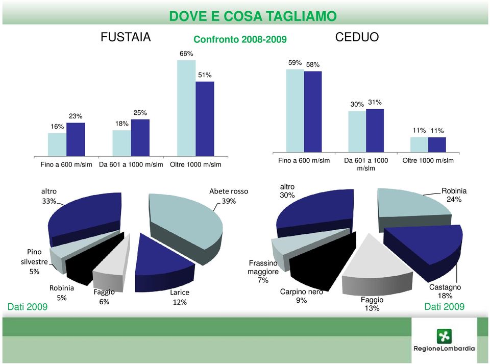 m/slm Oltre 1000 m/slm altro 33% Abete rosso 39% altro 30% Robinia 24% Pino silvestre 5% Dati