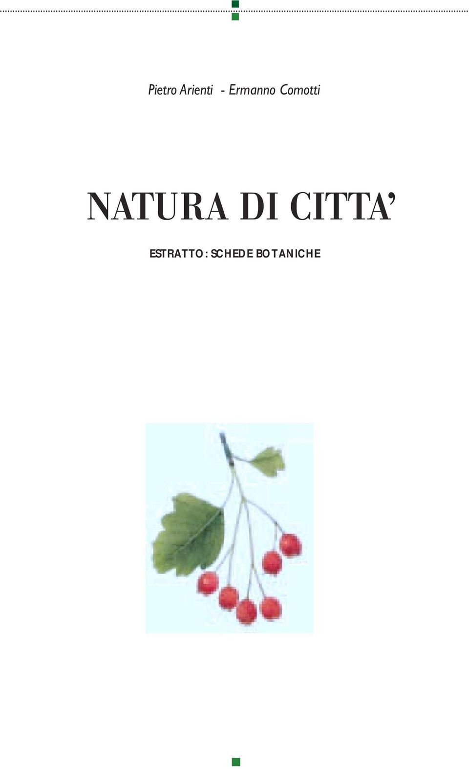 Comotti NATURA