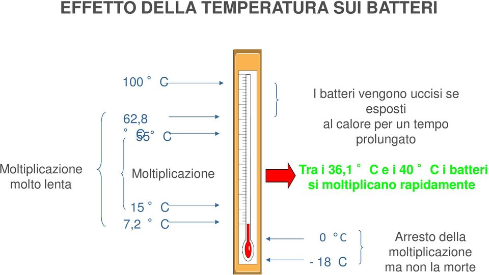 al calore per un tempo prolungato Tra i 36,1 C e i 40 C i batteri si