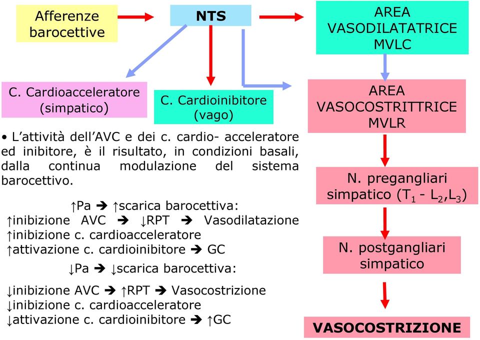 Pa scarica barocettiva: inibizione AVC RPT Vasodilatazione inibizione c. cardioacceleratore attivazione c.