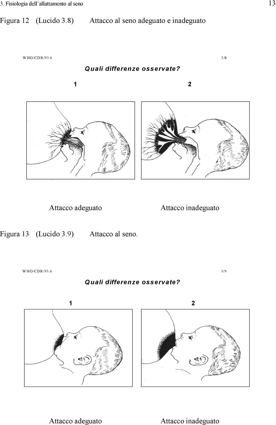 6 3/8 Quali differenze osservate?