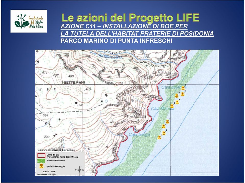 HABITAT PRATERIE DI